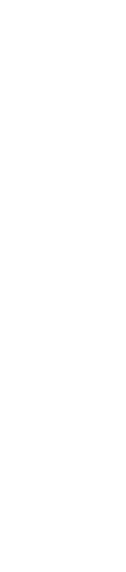 備瀬崎を守る福の木「フクギ」