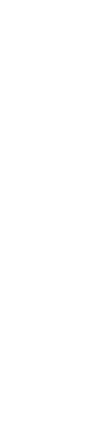 沈む夕陽を海から眺めよう