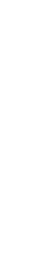 日本本土ではみられない流麗な石垣