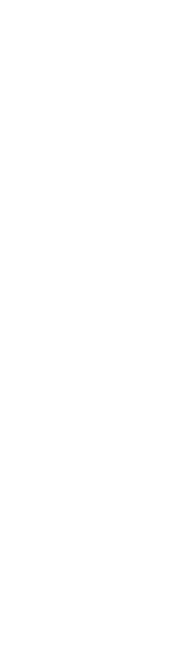 島に向かって一直線に続く橋