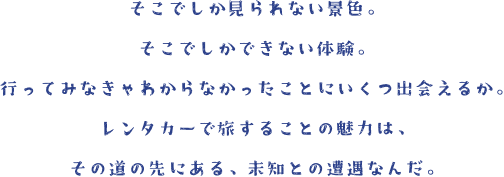 そこでしか見られない景色。 そこでしかできない体験。 行ってみなきゃわからなかったことにいくつ出会えるか。 レンタカーで旅することの魅力は、 その道の先にある、未知との遭遇なんだ。